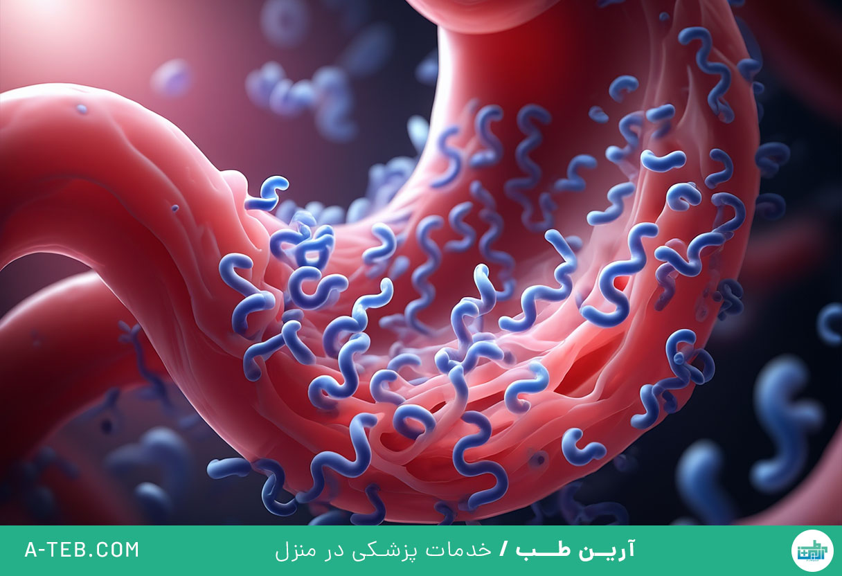 میکروب معده