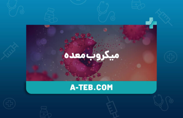 میکروب معده