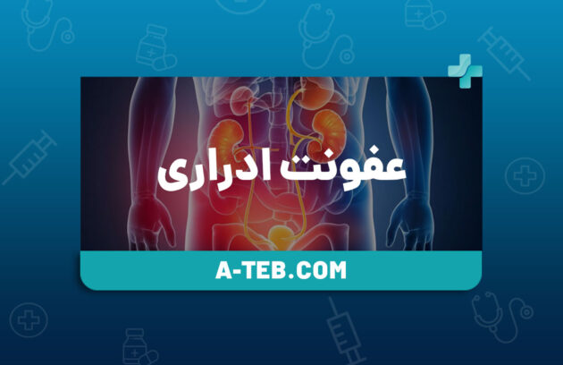 عفونت ادراری