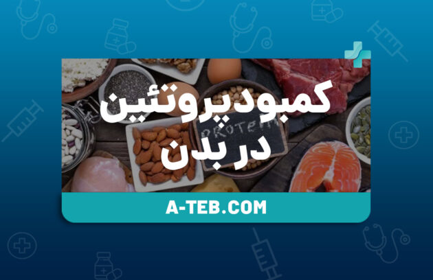 کمبود پروتئین در بدن