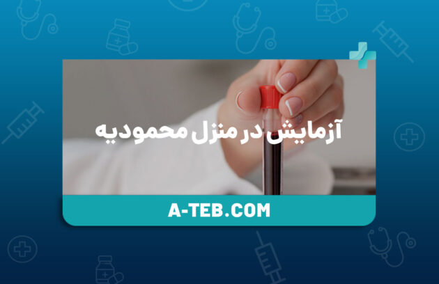 آزمایش در منزل محمودیه