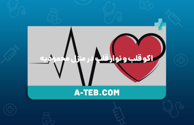 اکو قلب و نوار قلب در منزل محمودیه