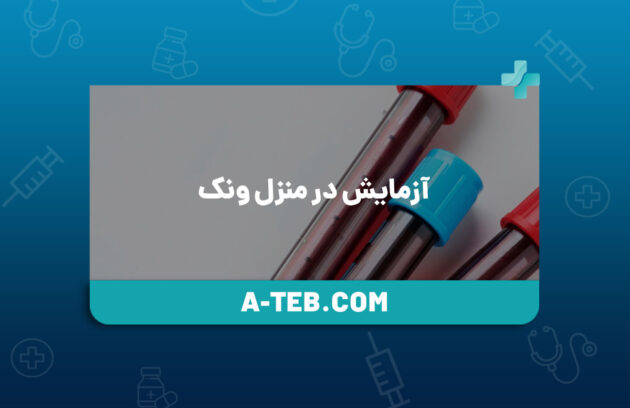 آزمایش در منزل ونک