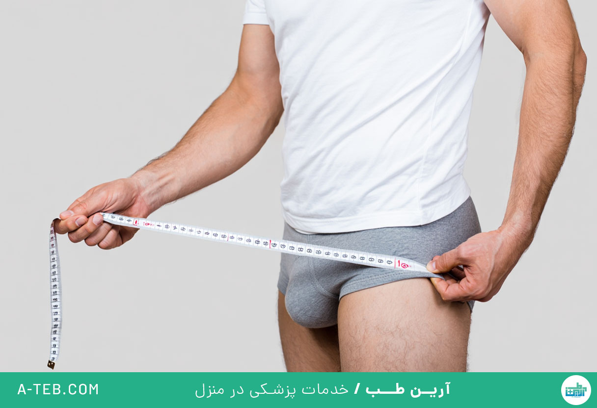 کوتاهی آلت