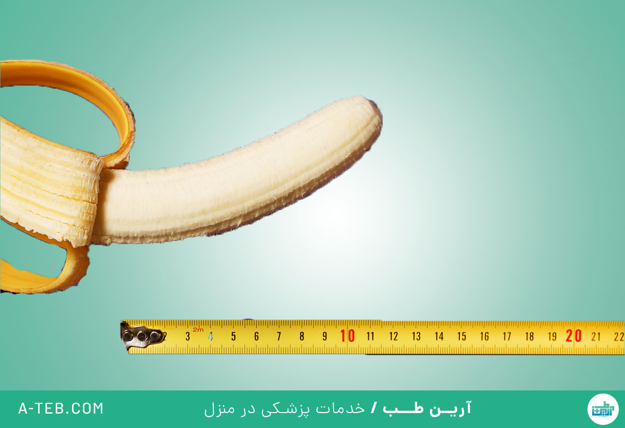 کوتاهی آلت