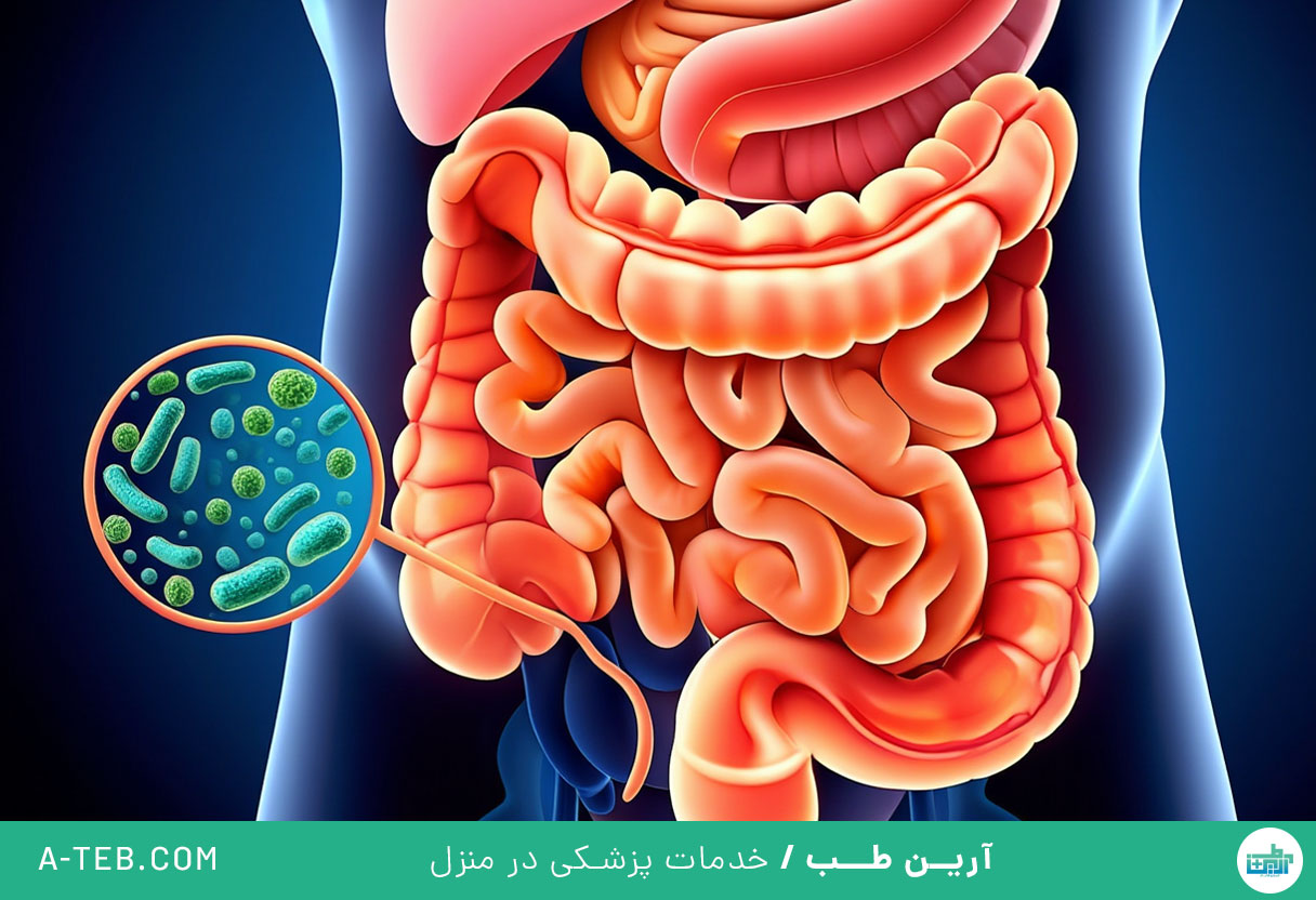 میکروبیوم