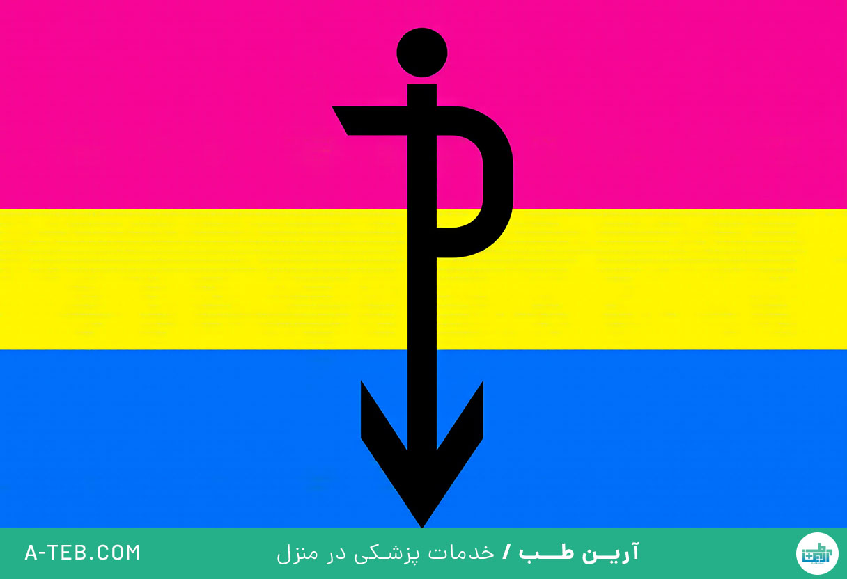 همه جنس گرا