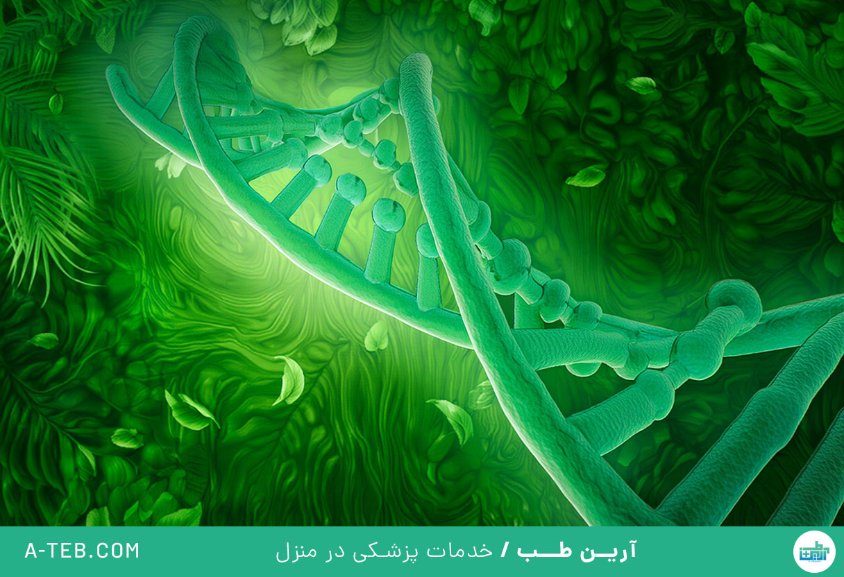 تغییرات هورمونی