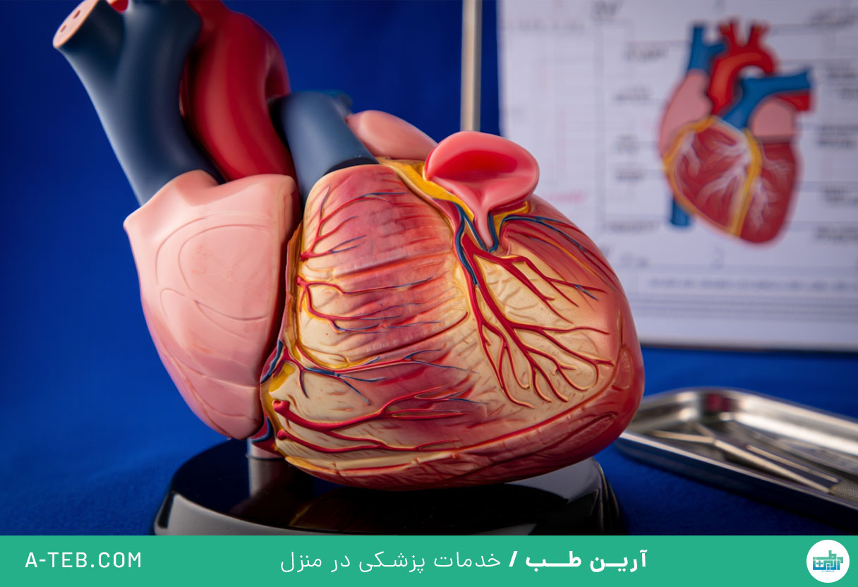 افتادگی دریچه تری کوسپید