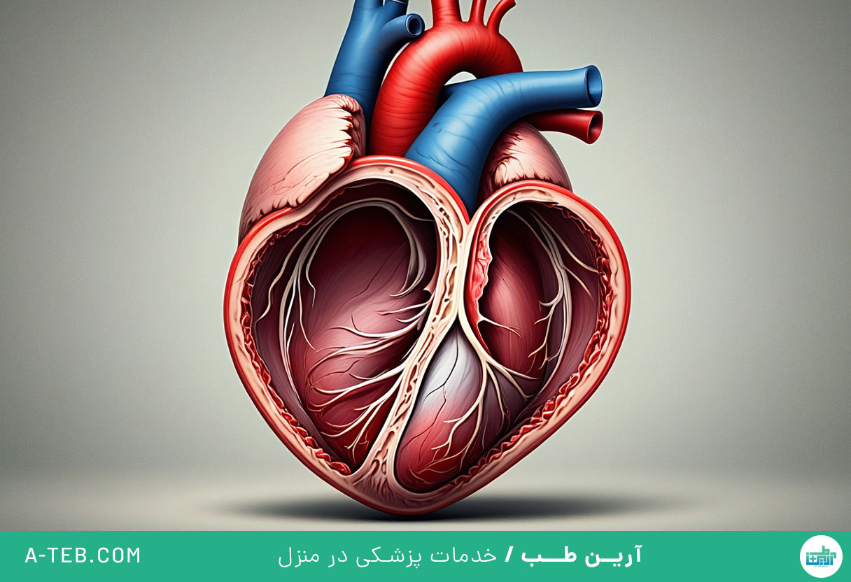 دیسپلازی دهلیزی