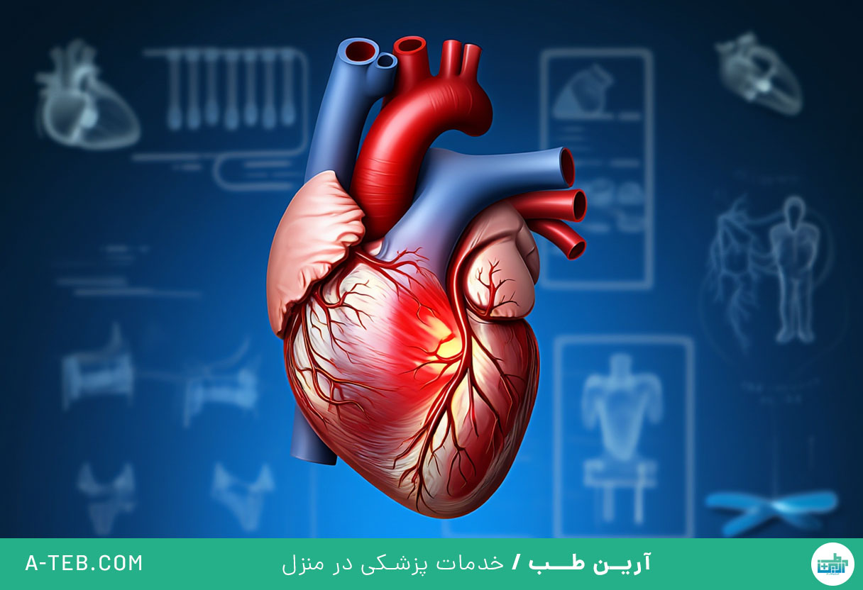 بیماری هیپرتروفی قلب