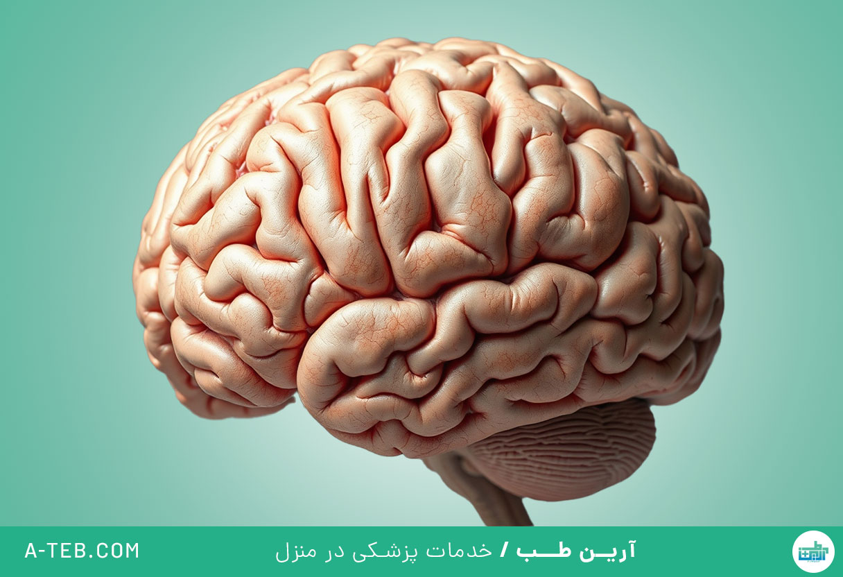 تومور مغزی