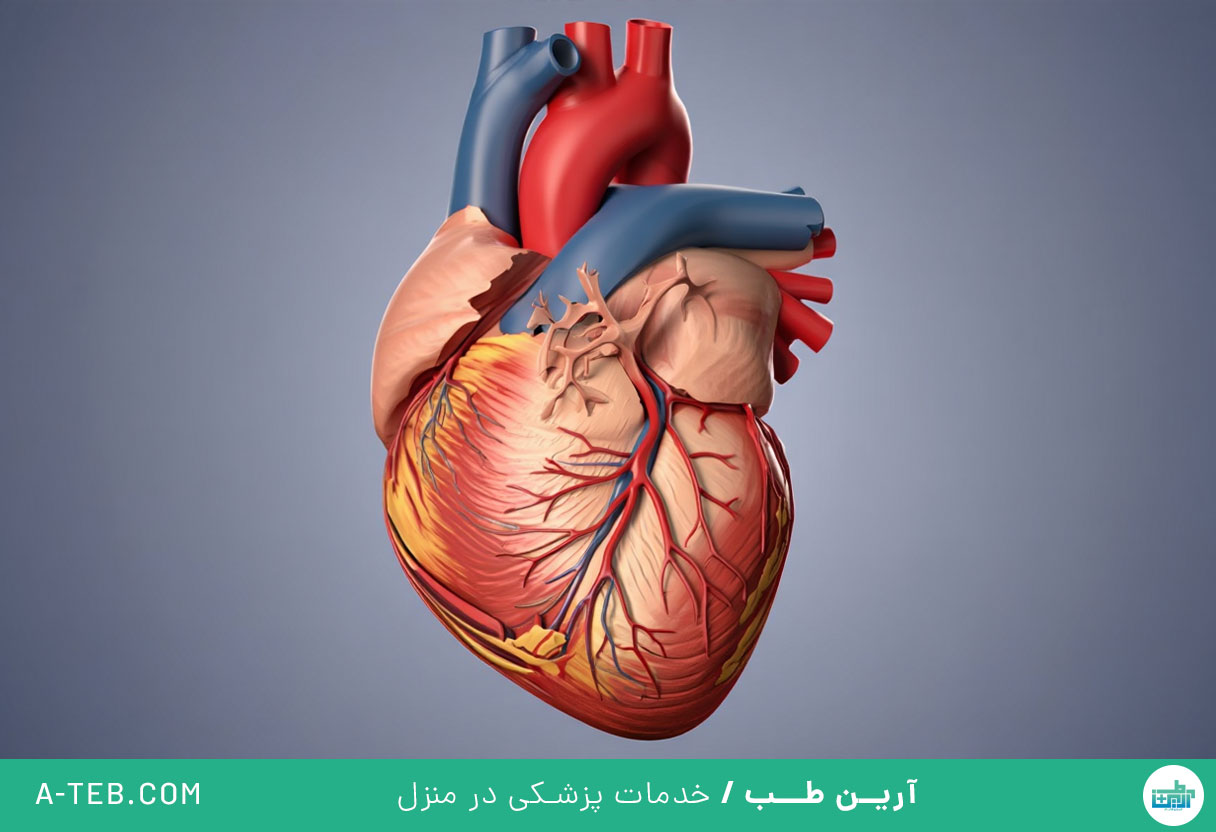 دیسپلازی دهلیزی