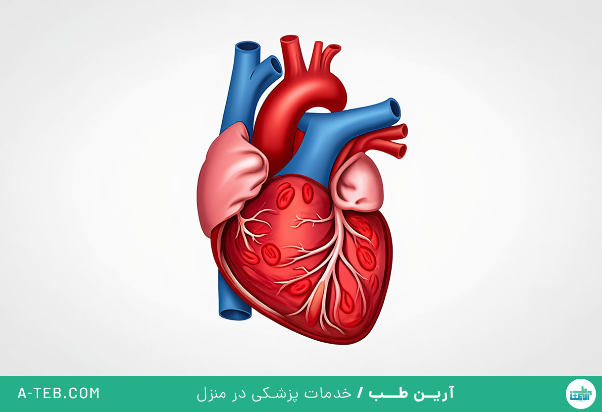 تنگی دریچه تری کوسپید