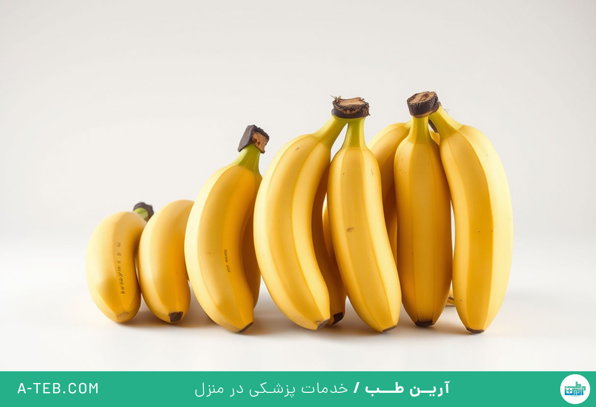 سایز مناسب آلت