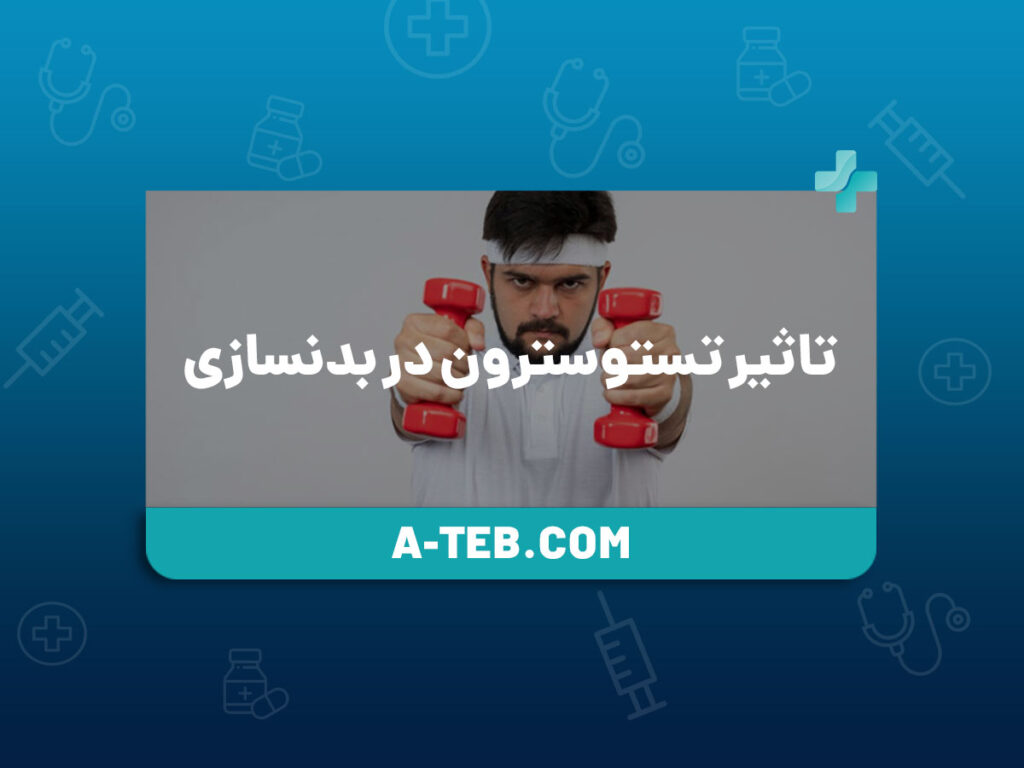 تاثیر تستوسترون در بدنسازی