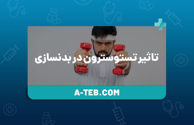 تاثیر تستوسترون در بدنسازی
