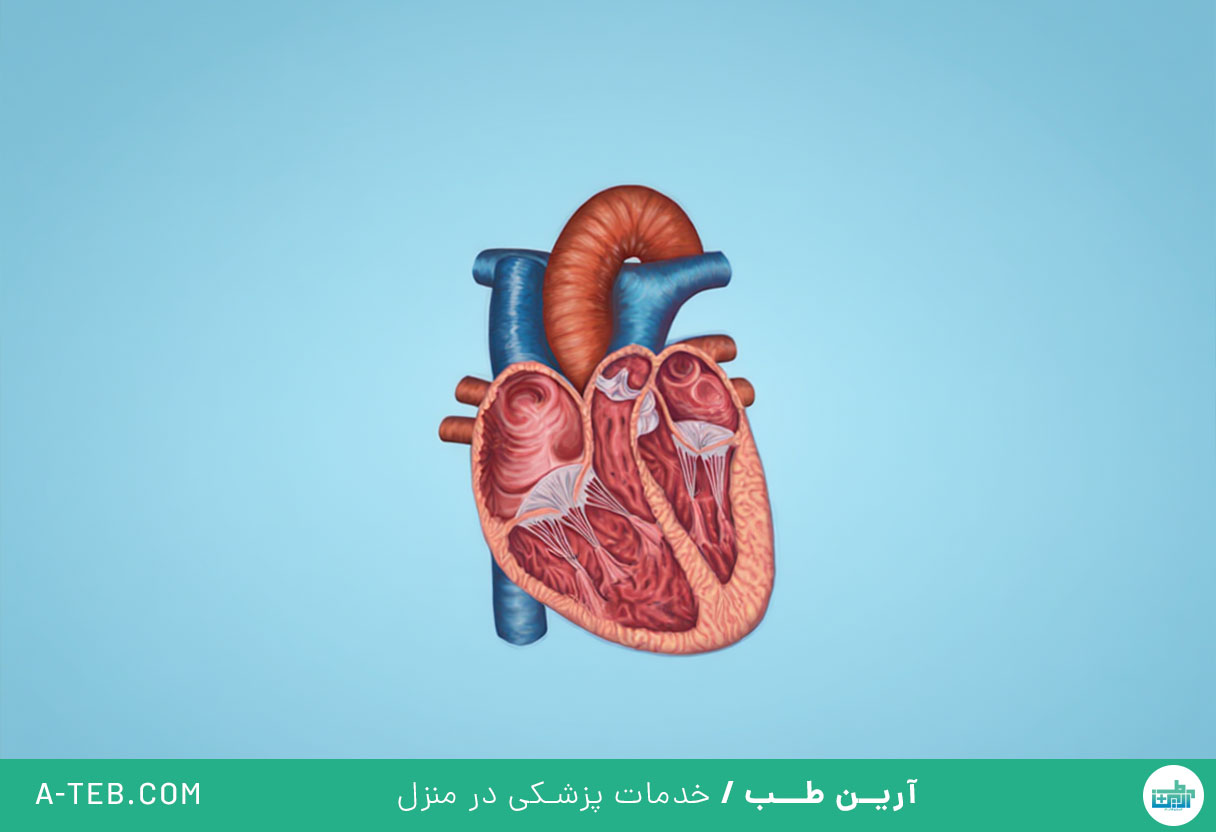 بیماری دریچه ریوی