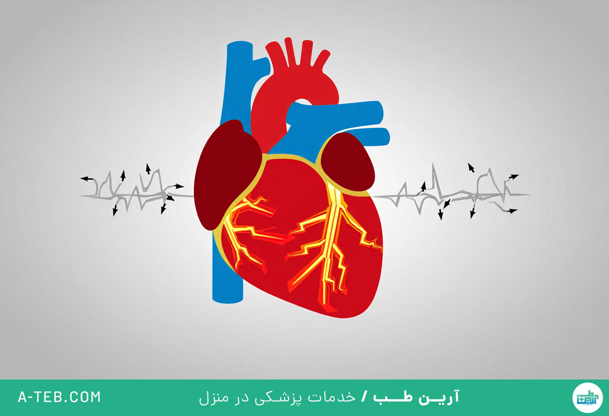 برادی کاردی