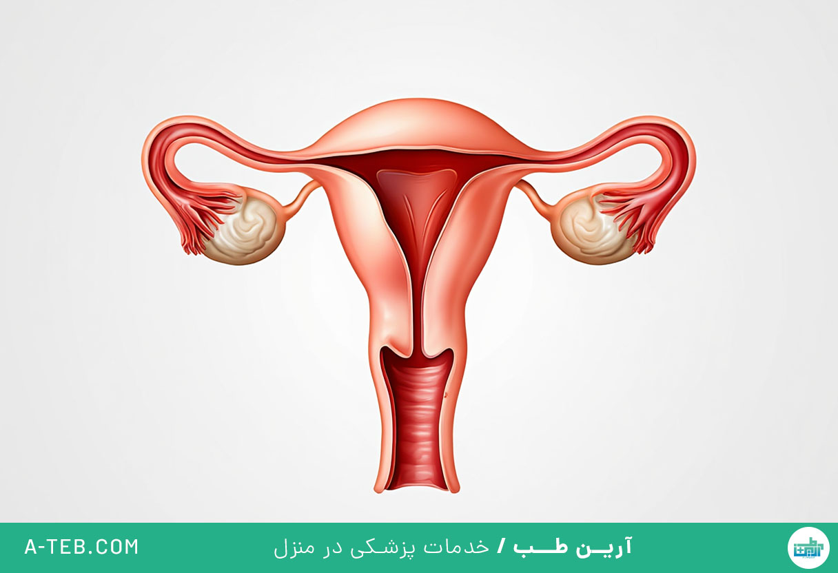 بهداشت واژن در تابستان