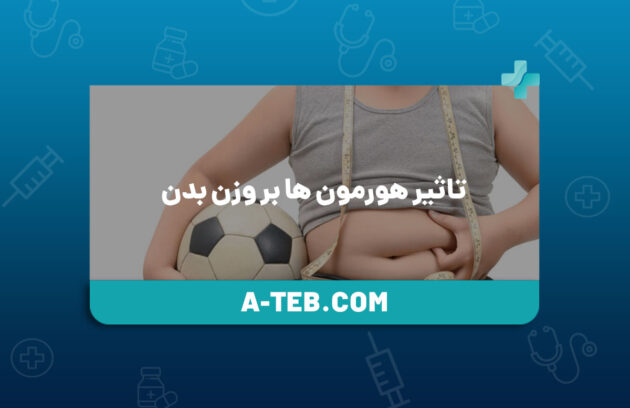 تاثیر هورمون ها بر وزن بدن
