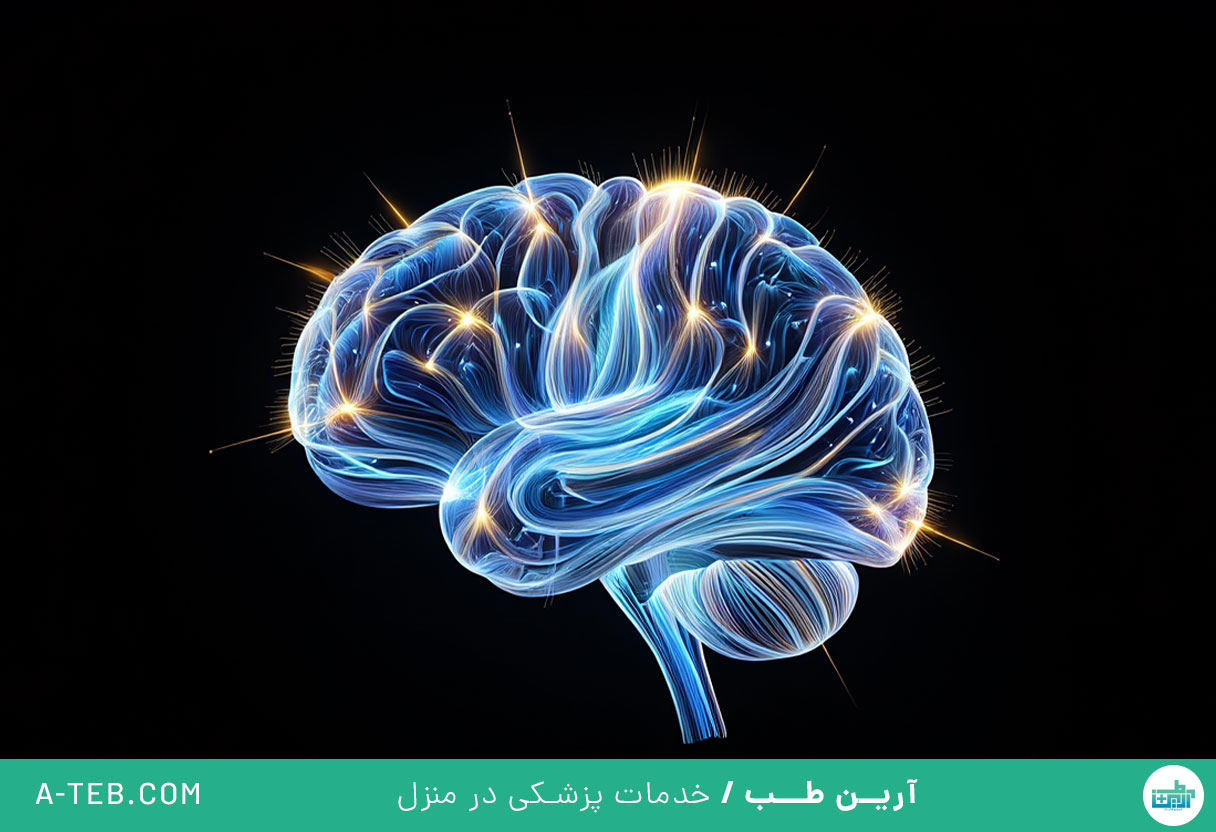 تقویت مغز و افزایش هوش