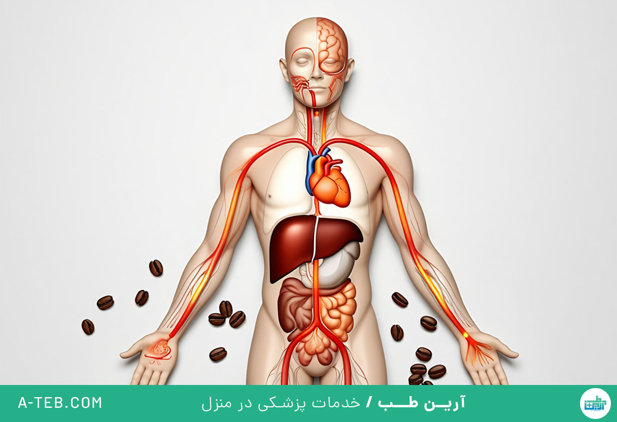 تاثیر قهوه بر بدن