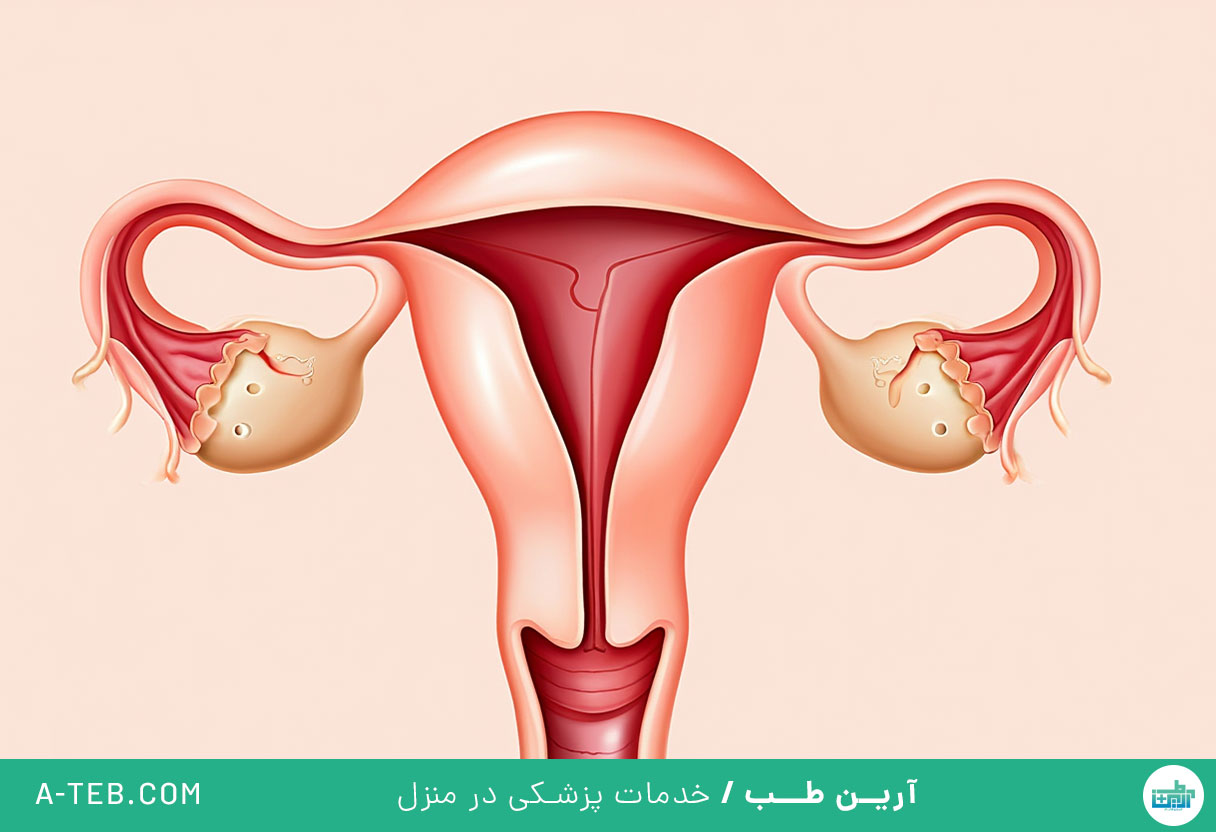 بهداشت واژن در تابستان