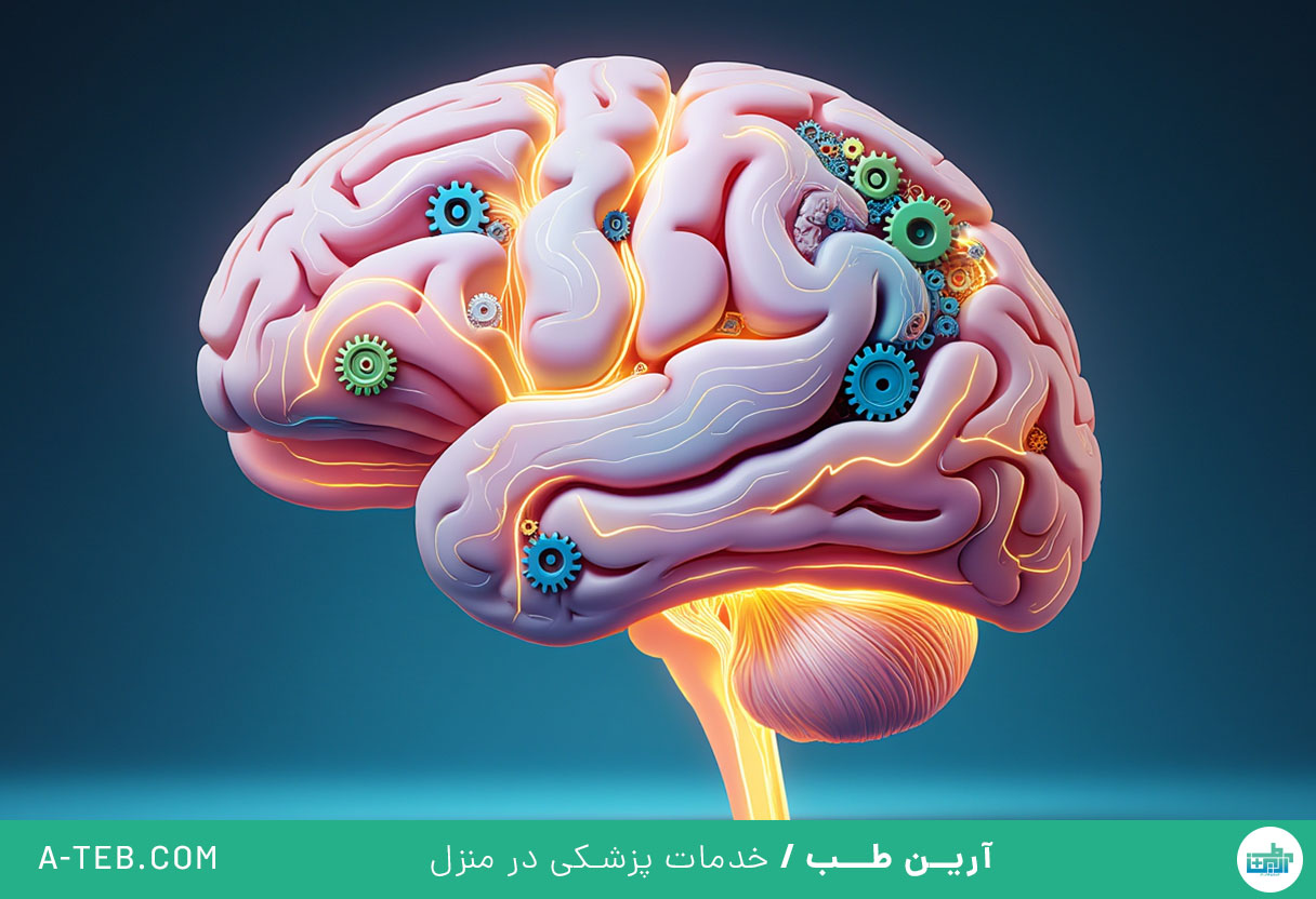 تقویت مغز و افزایش هوش