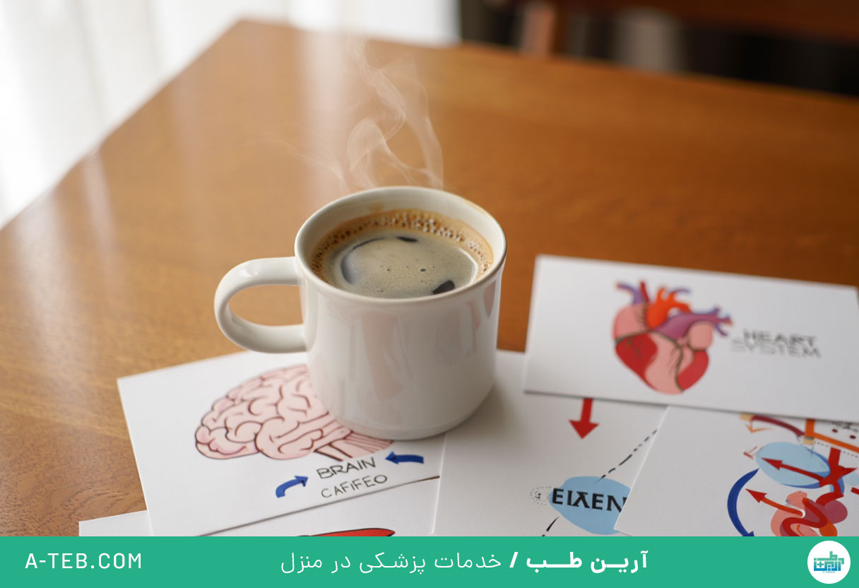 تاثیر قهوه بر بدن