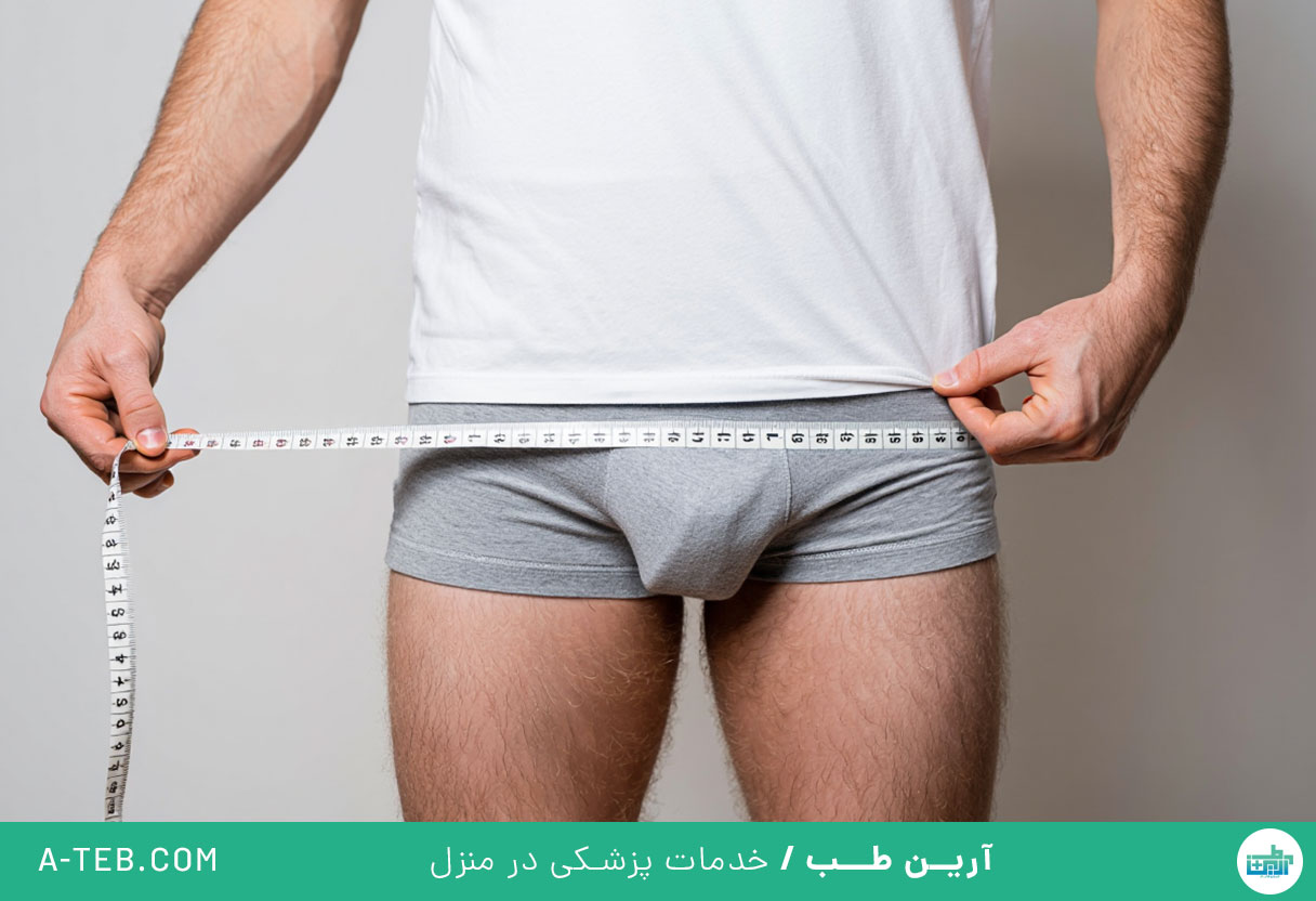 بزرگی آلت