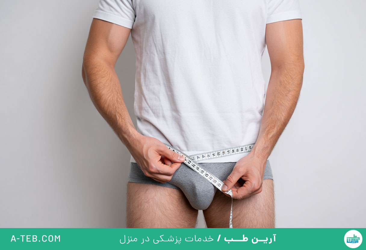 بزرگی آلت