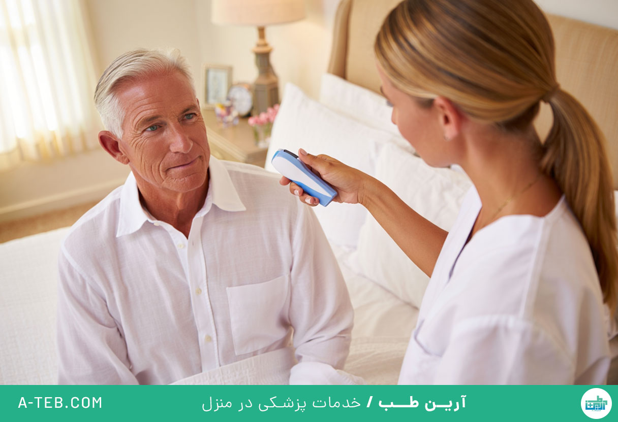 پرستار در منزل پونک