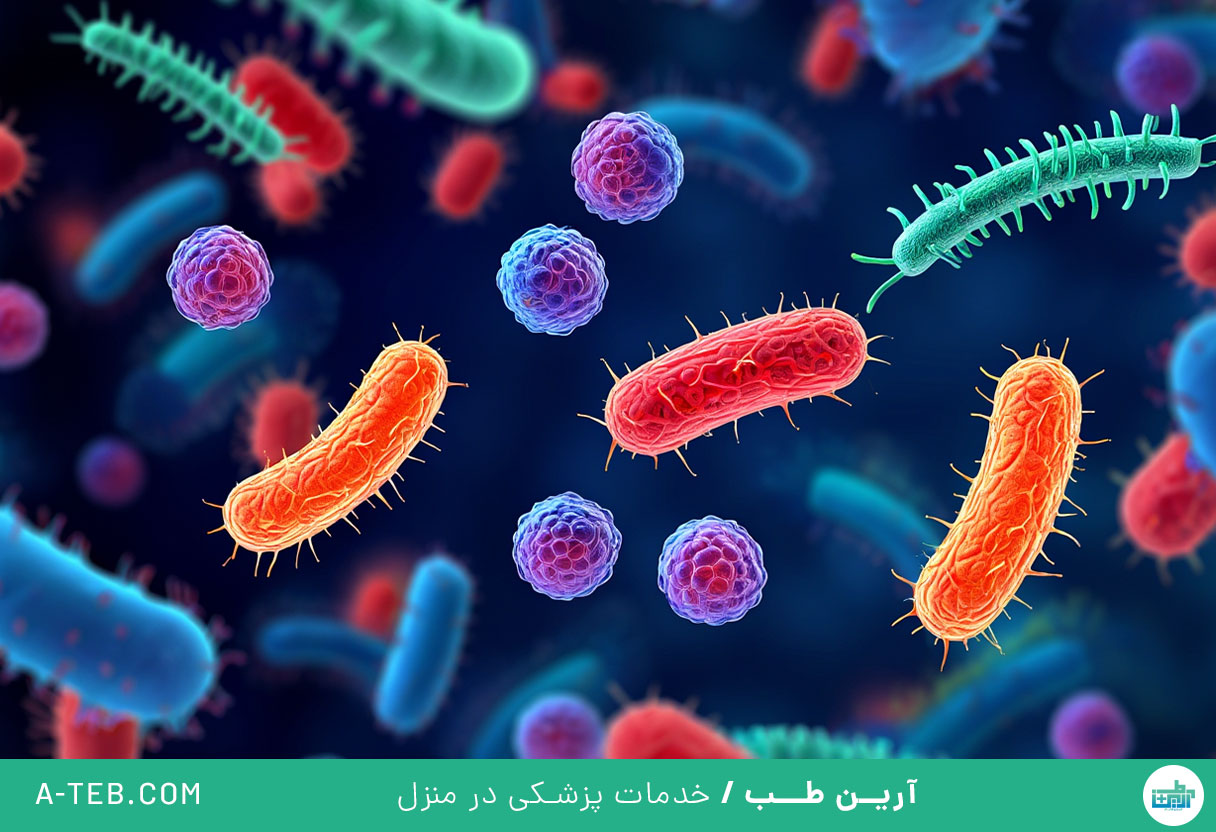 عفونت باکتریایی