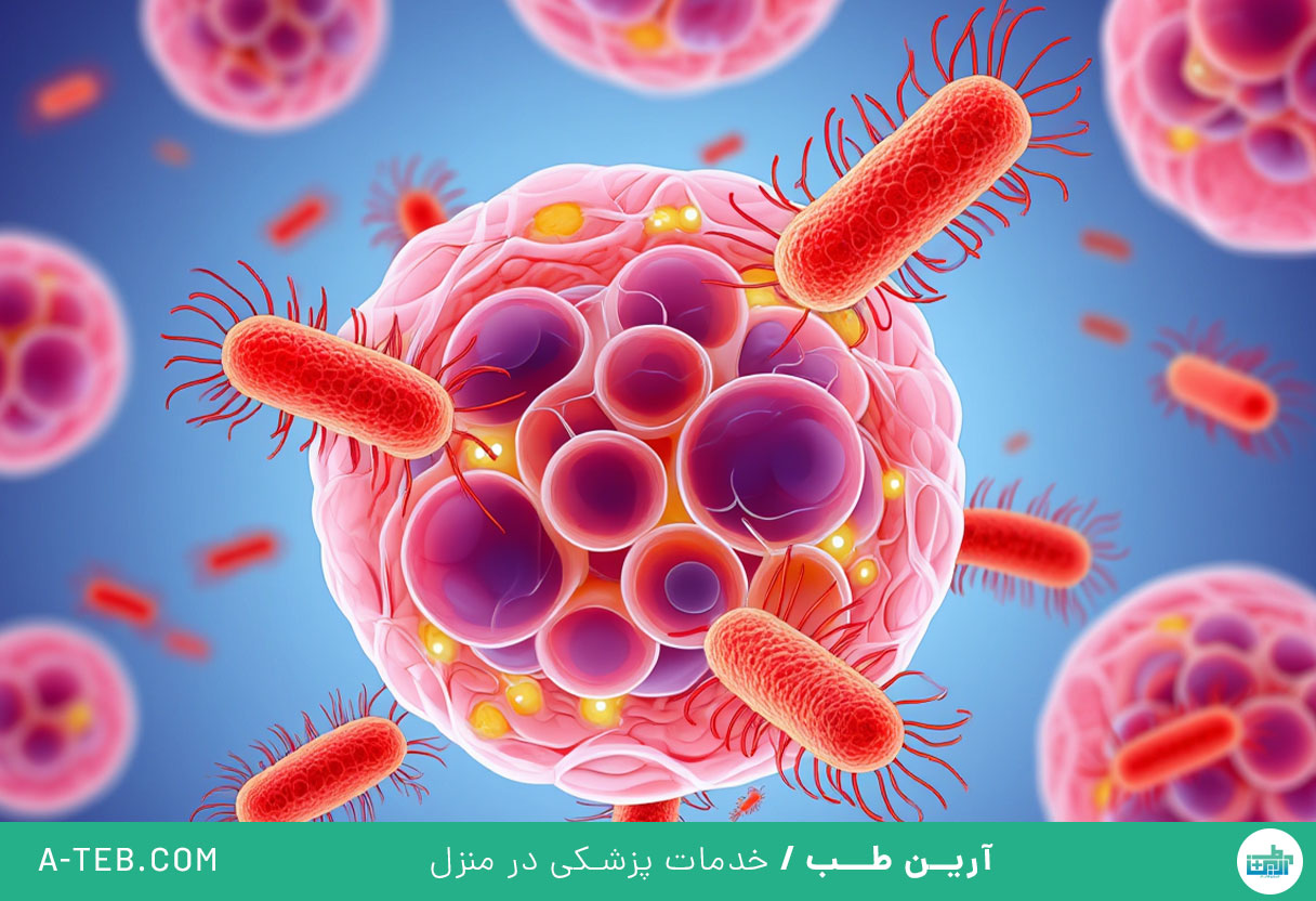عفونت باکتریایی
