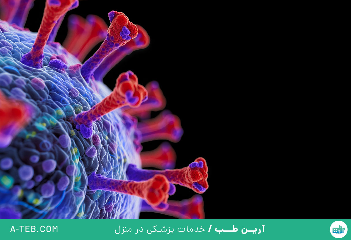 ویروس نیپا