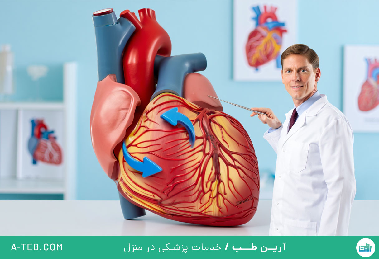 نارسایی میترال