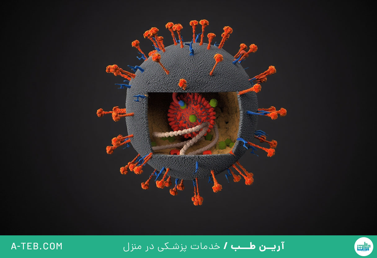 ویروس نیپا