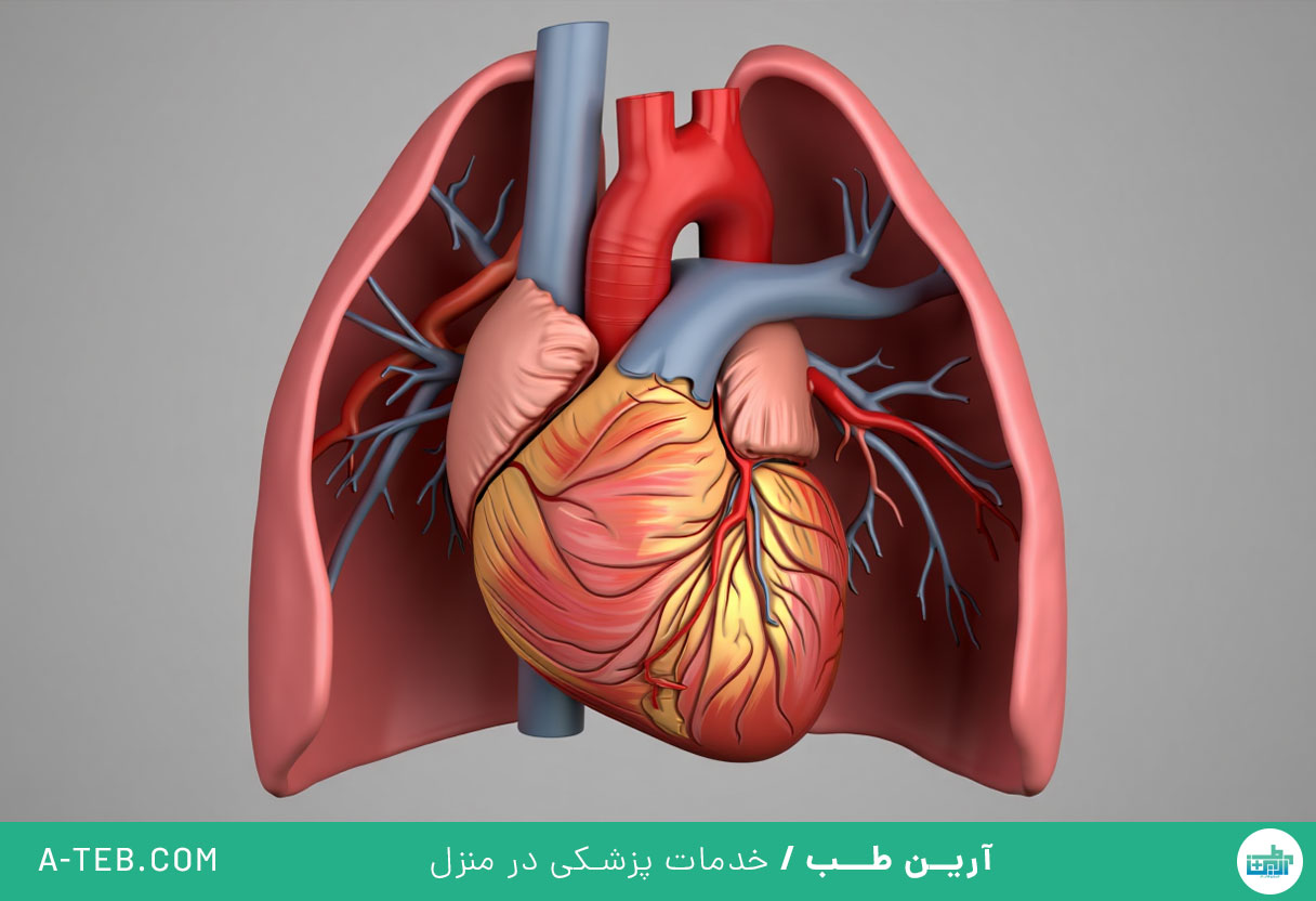 هیپرتانسیون ریوی