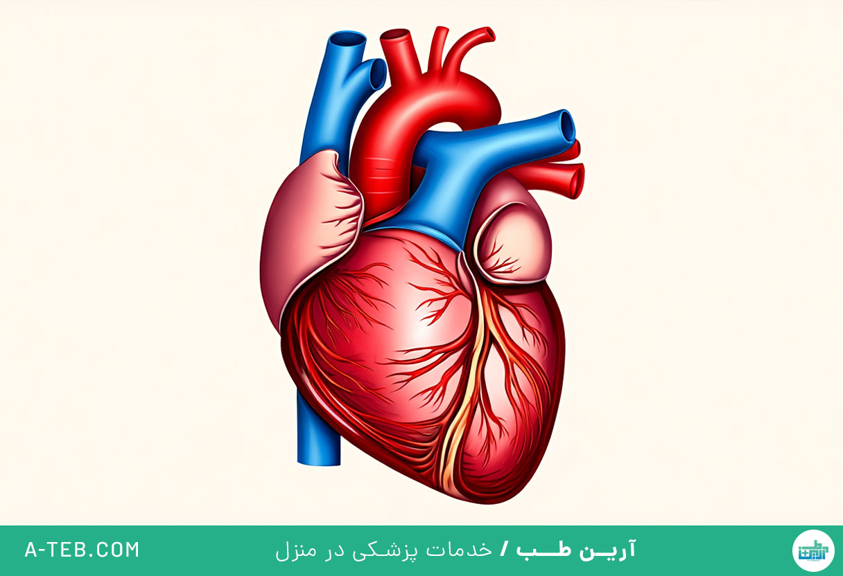 نارسایی سمت راست قلب