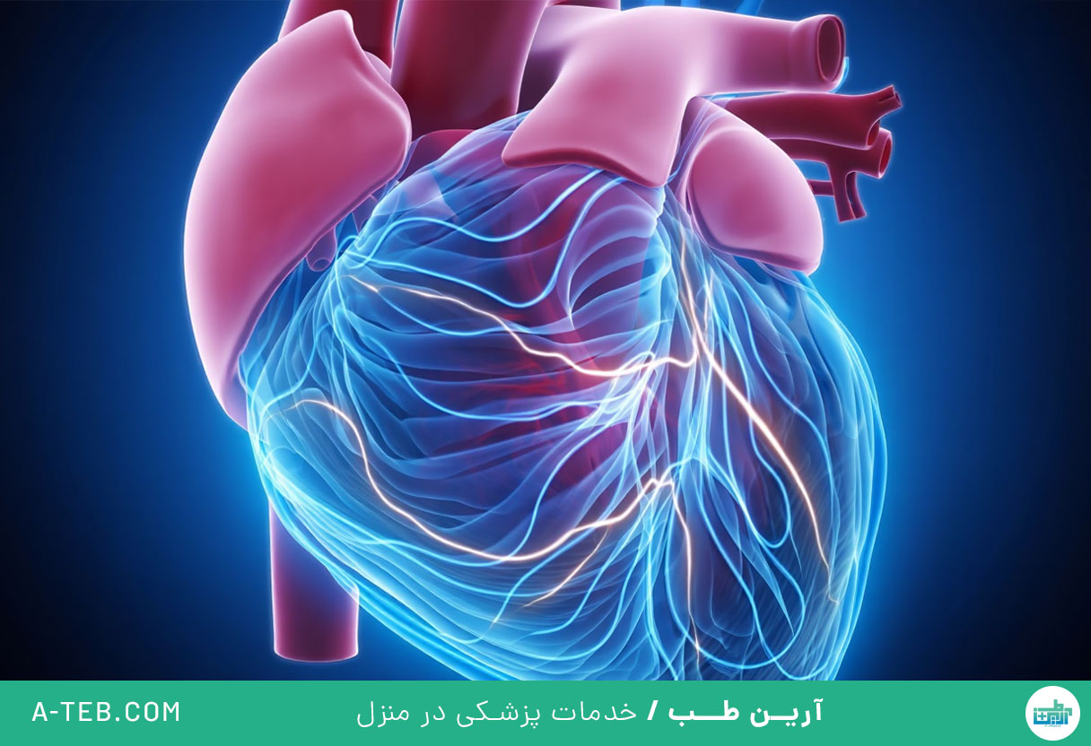 فیبریلاسیون بطنی