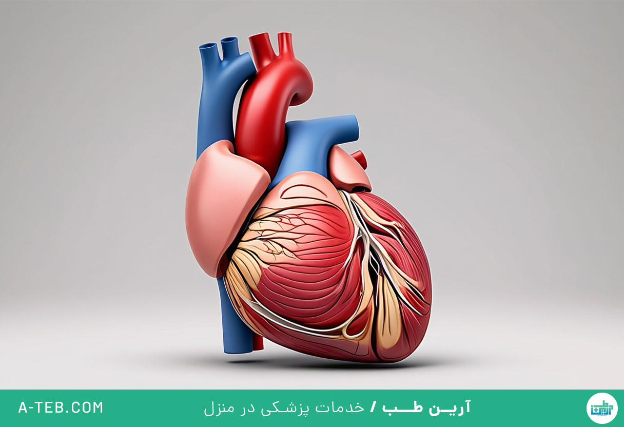 سندرم قلب شکسته