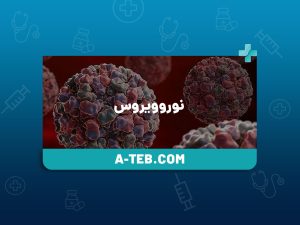 نوروویروس