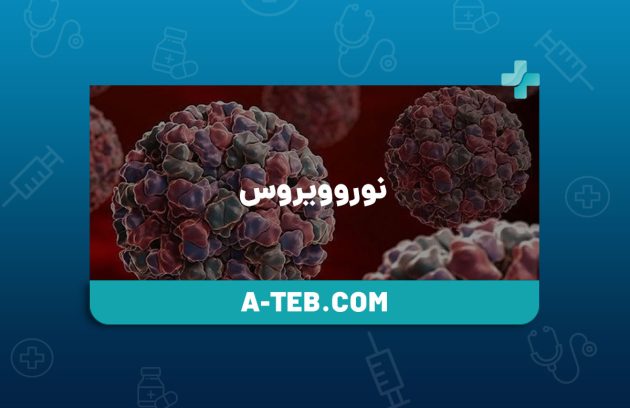 نوروویروس