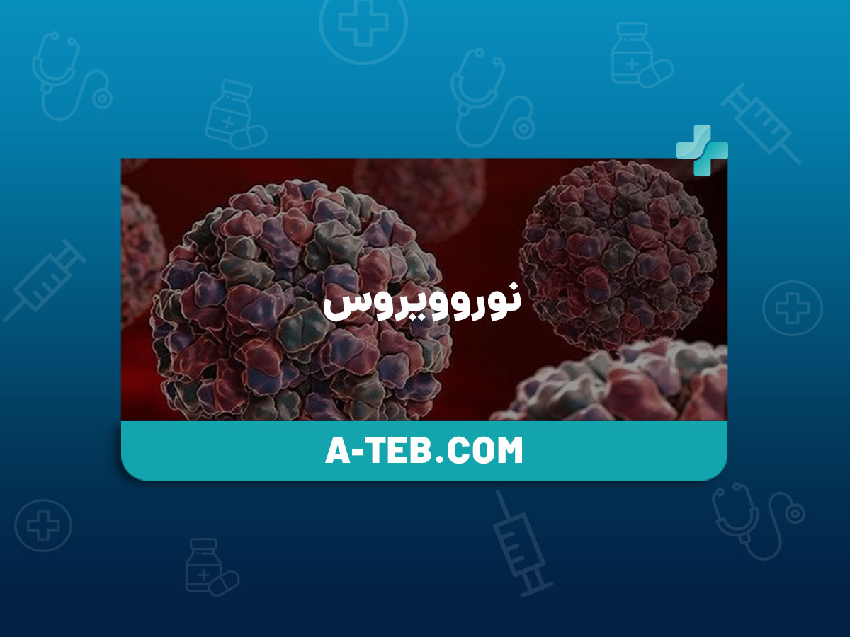 نوروویروس