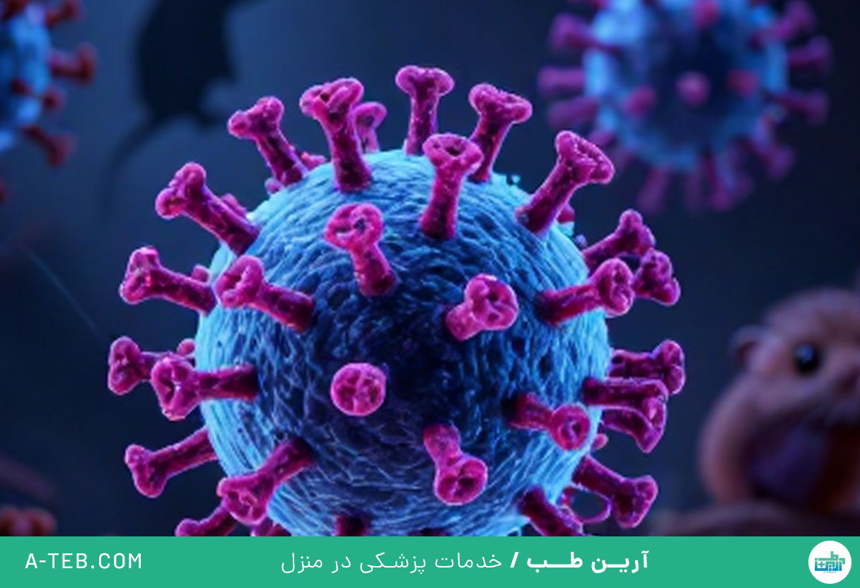 هانتا ویروس
