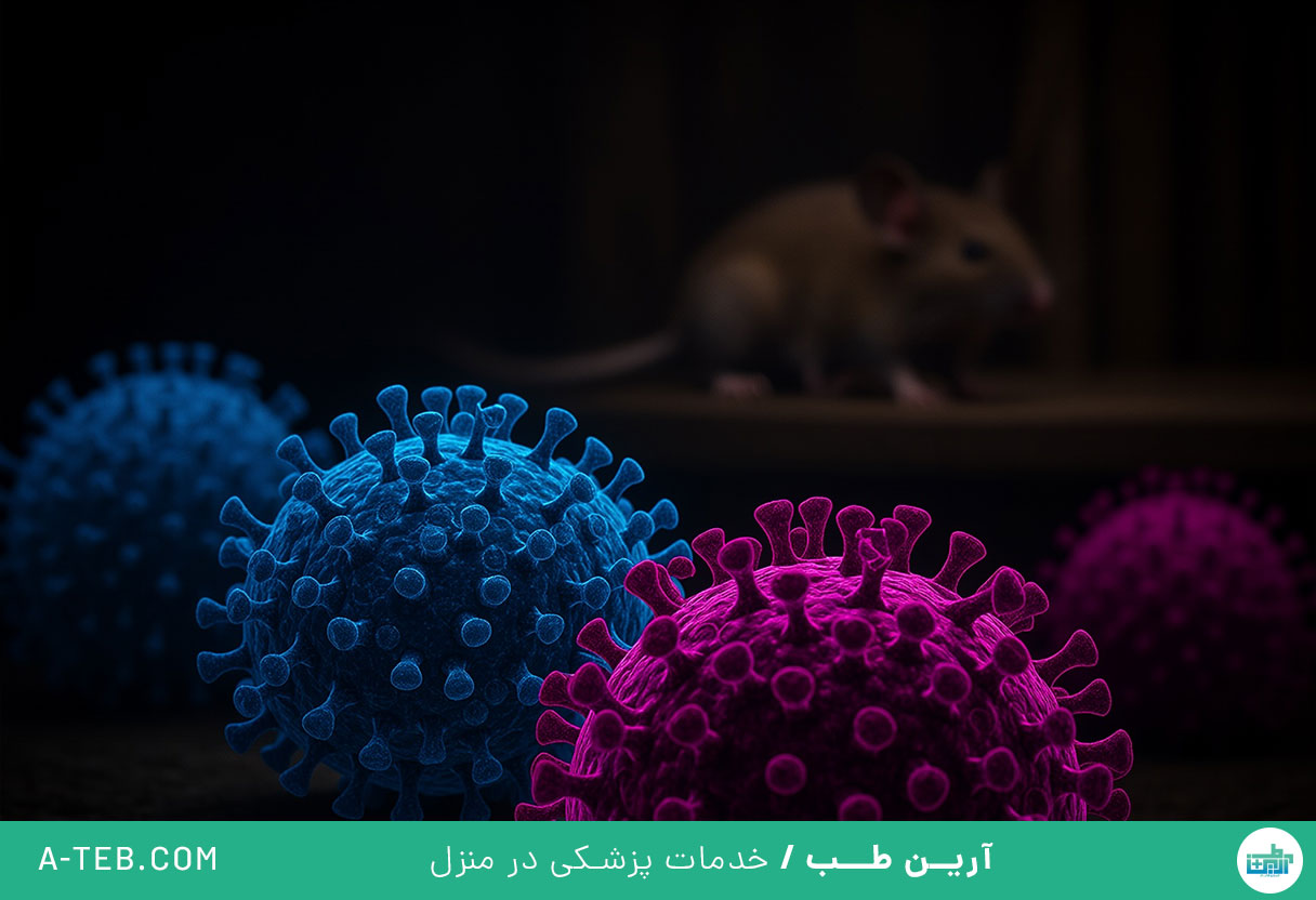 هانتا ویروس