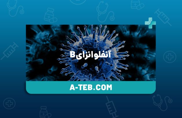 آنفلوانزای B