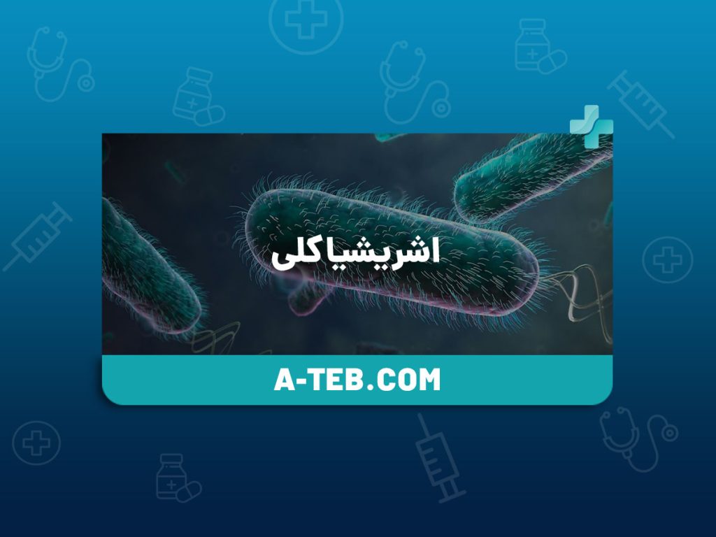 اشریشیا کلی