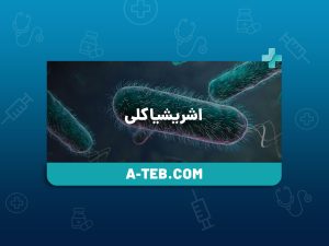 اشریشیا کلی